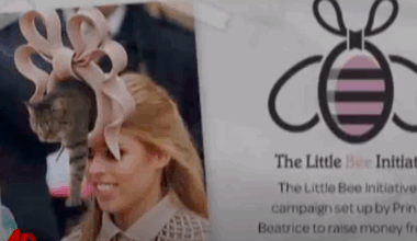 Princess Beatrice's royal wedding hat that refused to be forgotten