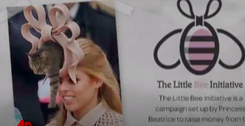 Princess Beatrice's royal wedding hat that refused to be forgotten