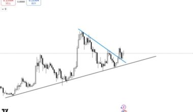 Dogecoin ($DOGE) descending triangle breakout on the weekly chart