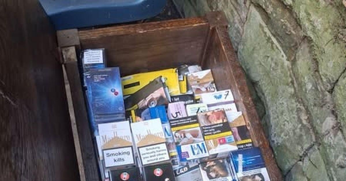 Illegal workers arrested as barbers, car washes and shops raided