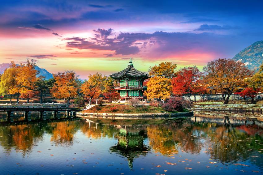 Ecotourism in South Korea: Buan, Boryeong, and Yeongwol Lead Sustainable Travel Initiatives