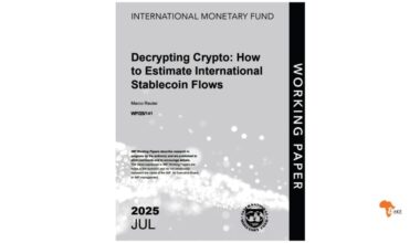 Africa Accounted for 6.7% of GDP in Stablecoin Flows in 2024 – Among the Highest Globally, Says the IMF – BitKE