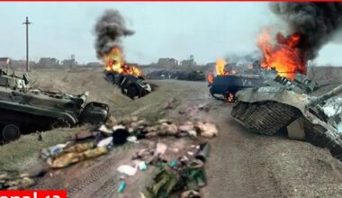 Global Consensus: Trump Rolled Out Red Carpet For Putin, Got Rolled In Return