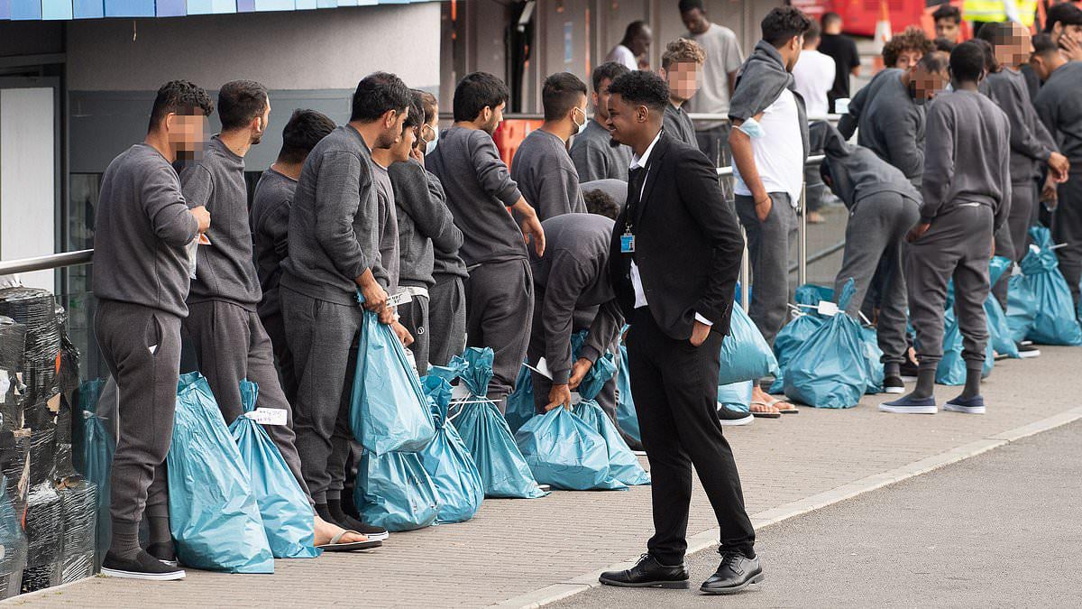 Free football tickets, university courses, driving lessons and even hair extensions: The astonishing list of perks taxpayers are funding for asylum seekers