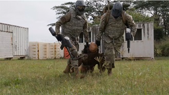 Link to Video: Train for Deployed Environment