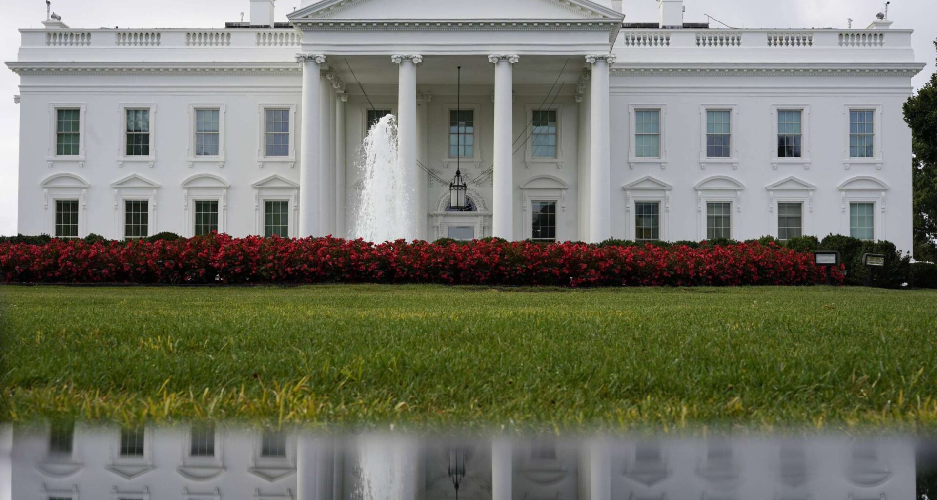 Trump taps DOGE-aligned tech leader to overhaul federal websites