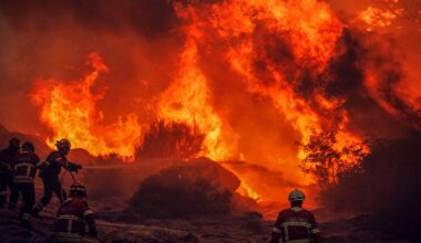 Maioria dos incendiários detidos este ano é suspeito de ter ateado outros fogos