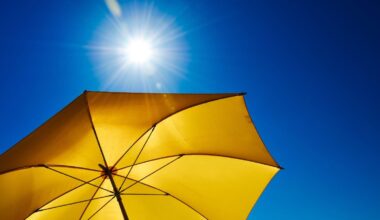 Heatwave conditions possible as temperatures set to rise - RTE News