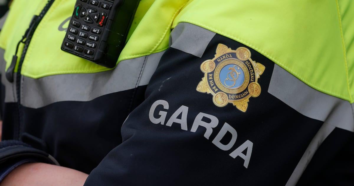 Garda injured while arresting sword-wielding suspect