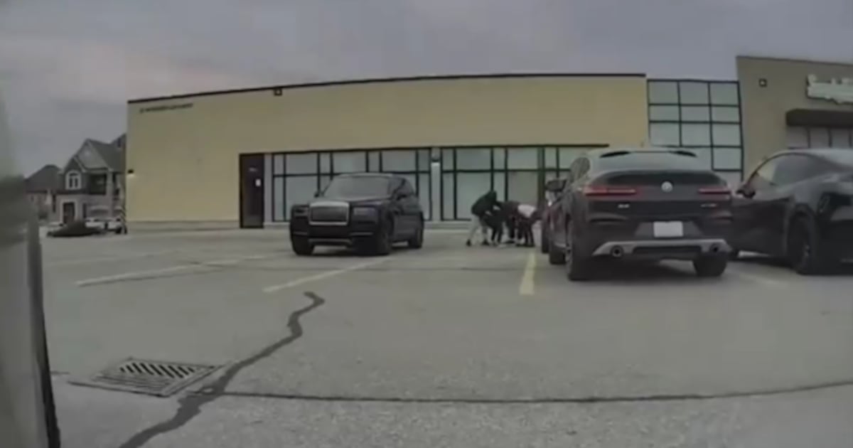 Carjacking caught on video at Brampton plaza