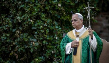 Pope Leo is turning out to be just as much of a green pope as Francis. Why do we care? Because he leads 1.4 billion Catholics and has nearly as big a platform as the anti-climate leader of 340 million Americans.