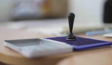 „Toți vor acasă. Acasă e diferit”. Reprezentanții diasporei revin pentru a deschide afaceri în Republica Moldova