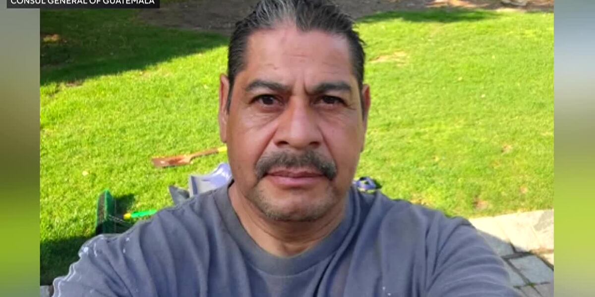 Man struck and killed on freeway after fleeing immigration agents, official says