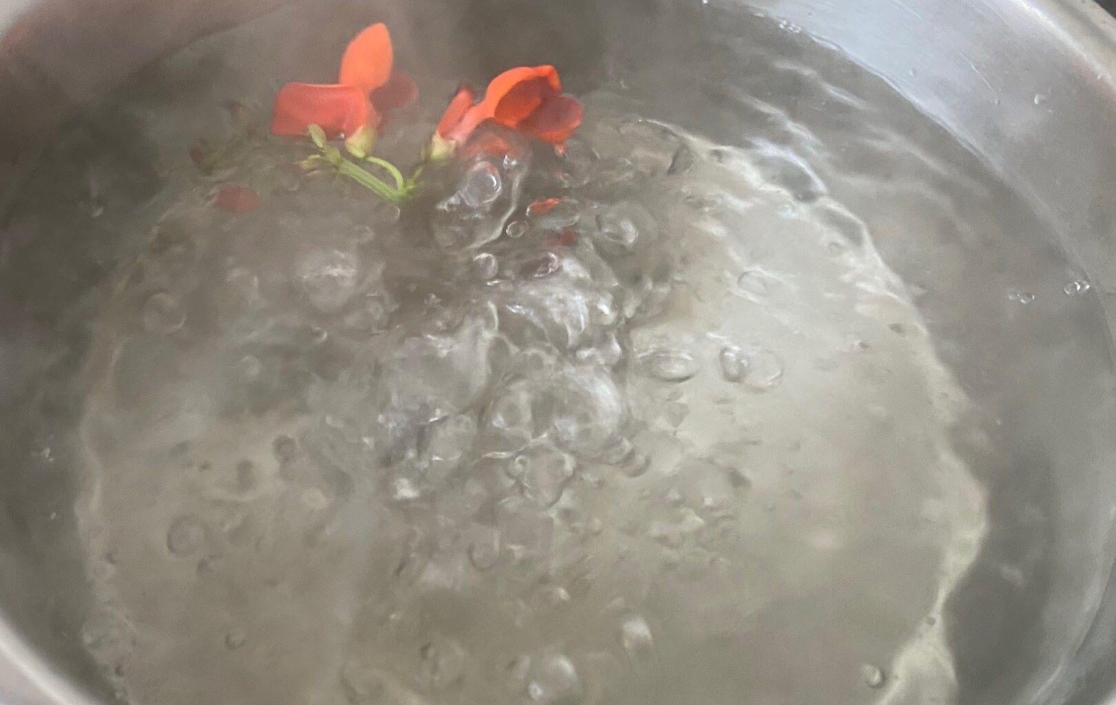 I Karlebo Kommune har beboerne skulle koge vandet i en hel måned, nu rammer problemet Fredensborg