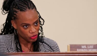 Epstein files released to Congress are mostly ‘recycled’ documents, Democrat says