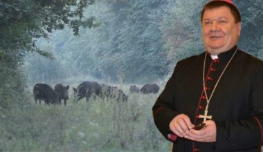 Bishop shoots man instead of wild boar