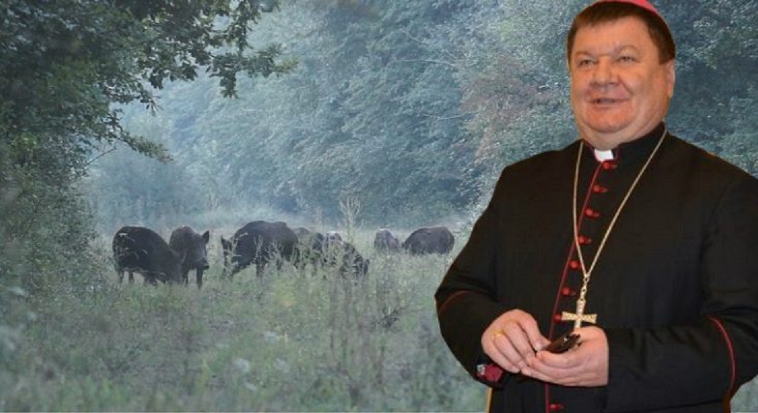 Bishop shoots man instead of wild boar