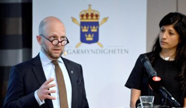 Swedish man found guilty in killing of Jordanian fighter pilot in Syria
