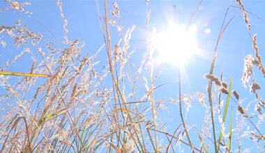 Parts of southern B.C., Vancouver Island under Environment Canada heat warning