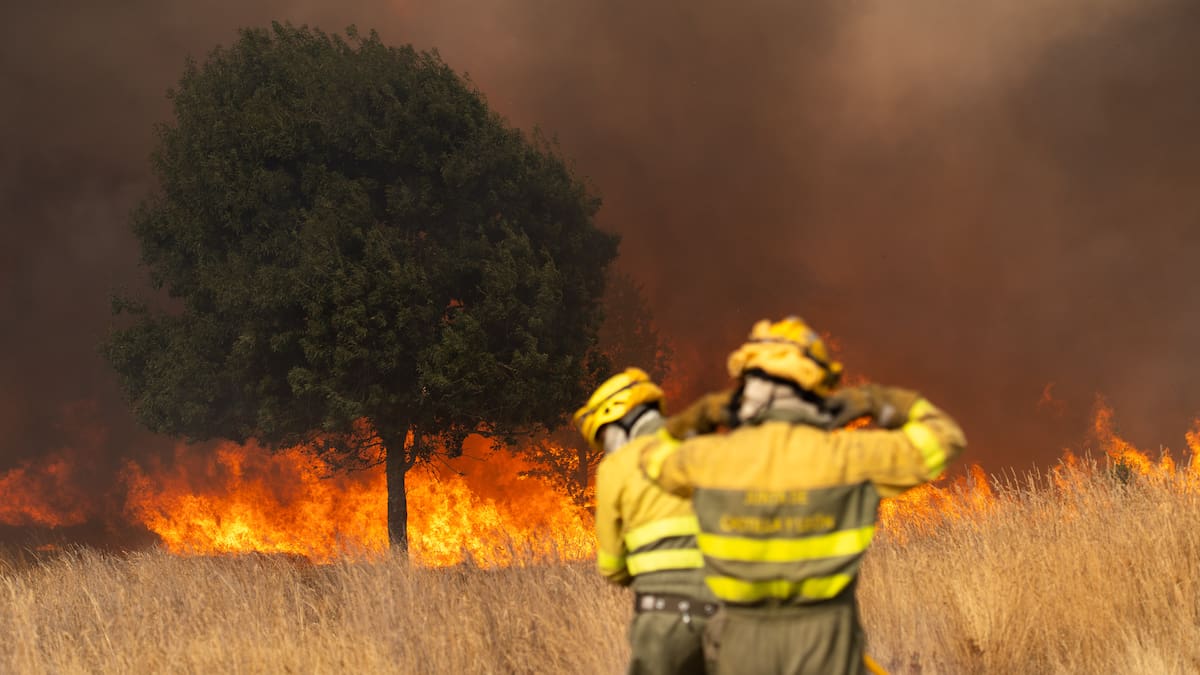 Incendios en España, en directo: última hora de Tres Cantos, Zahara de los Atunes, Las Médulas... | Sociedad