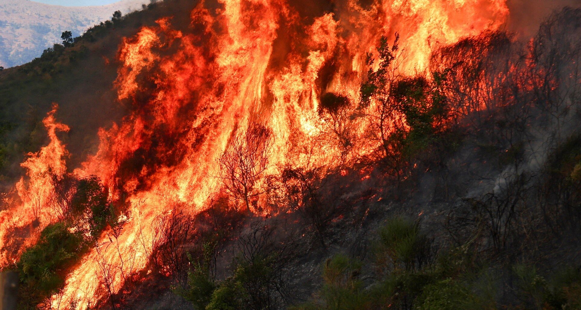 Wildfires ravage Europe amid intense heatwave | Environment