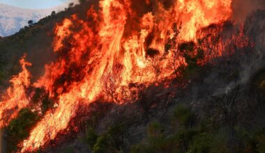 Wildfires ravage Europe amid intense heatwave | Environment
