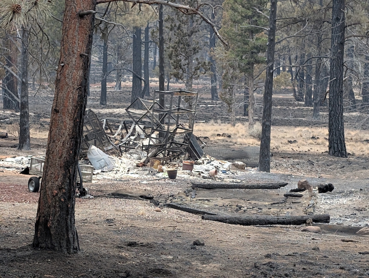 Flat fire destroys bird sanctuary as it threatens 4,000 homes in central Oregon
