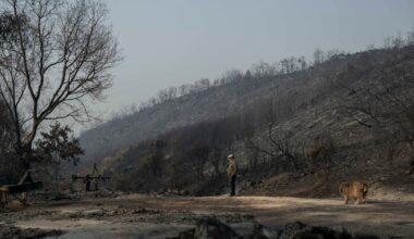 Última hora de los incendios en España, en directo | Una decena de incendios sin control complica el inicio del puente de agosto | España