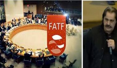 india-twisting-my-words-to-target-pakistan-at-fatf-says-gandapur