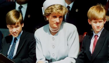 What Princess Diana Would Have Thought About The Feud Between Prince William and Prince Harry