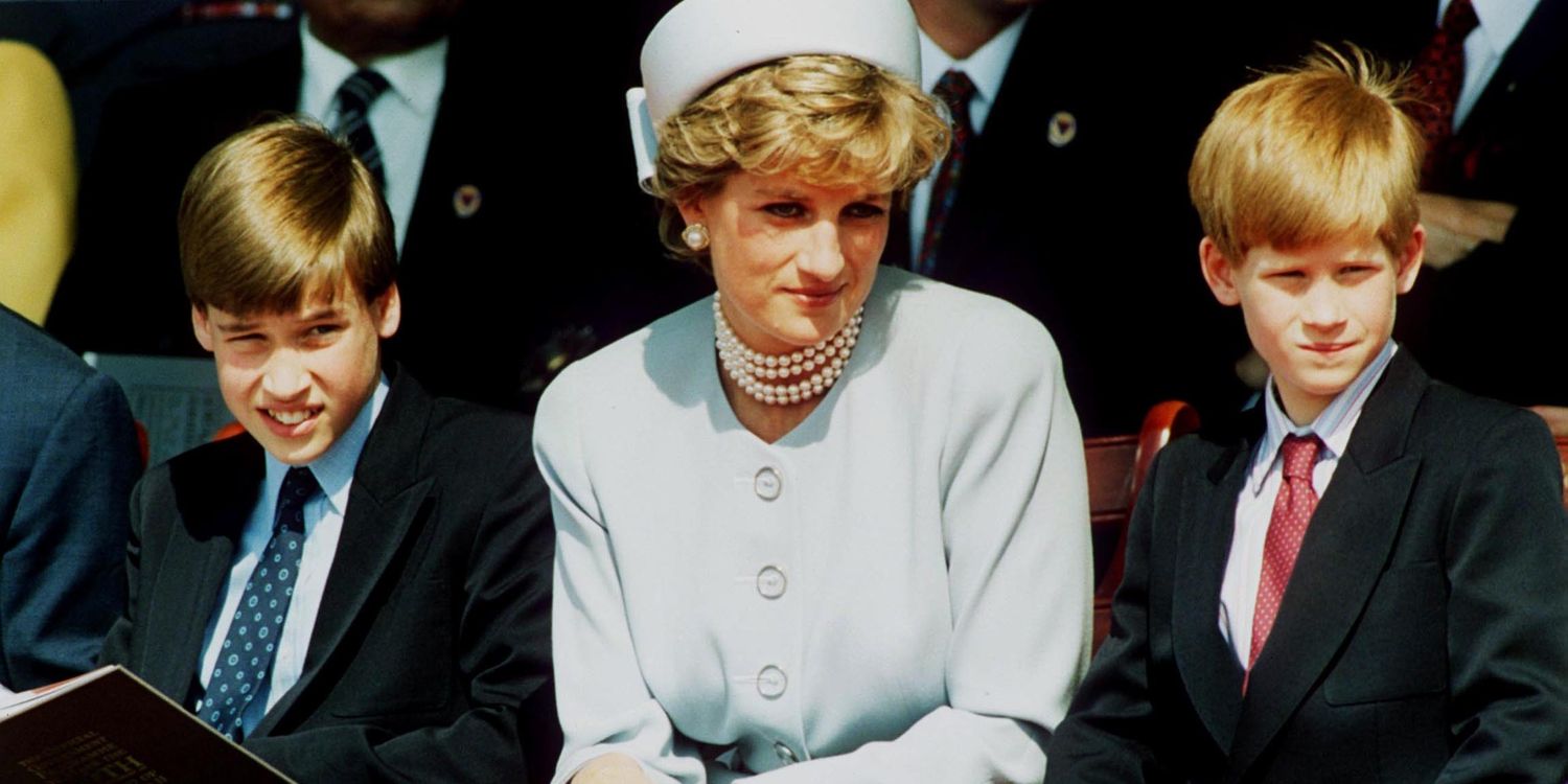 What Princess Diana Would Have Thought About The Feud Between Prince William and Prince Harry