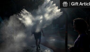 Paris Braces for a Future of Possibly Paralyzing Heat | City planners say the day when temperatures as high as 122 degrees Fahrenheit, or 50 Celsius, could stall the French capital is not far off. They are already starting to prepare.