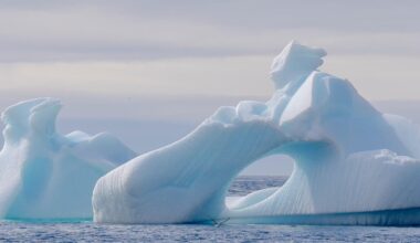Ny analyse: Risikoen for kollaps af kritisk havstrøm er større, end vi tror