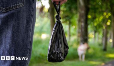 Dog foul fines top £50k as DNA database explored