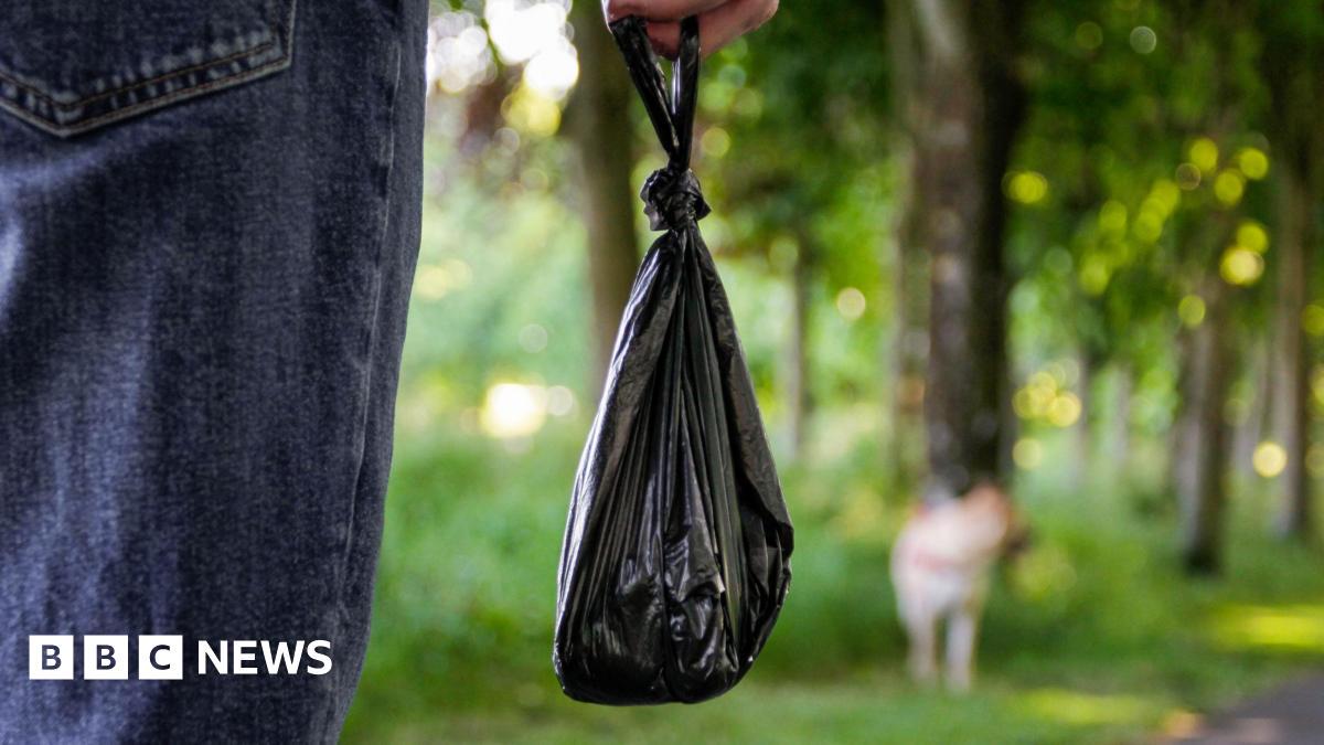 Dog foul fines top £50k as DNA database explored