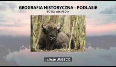 GEOGRAFIA HISTORYCZNA - PODLASIE. #Podlasie #geografiahistoryczna #pogranicze #Jaćwingowie