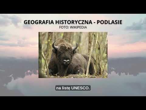 GEOGRAFIA HISTORYCZNA - PODLASIE. #Podlasie #geografiahistoryczna #pogranicze #Jaćwingowie