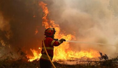 14-year-old boy confesses to deliberately starting several fires in Portugal, police say