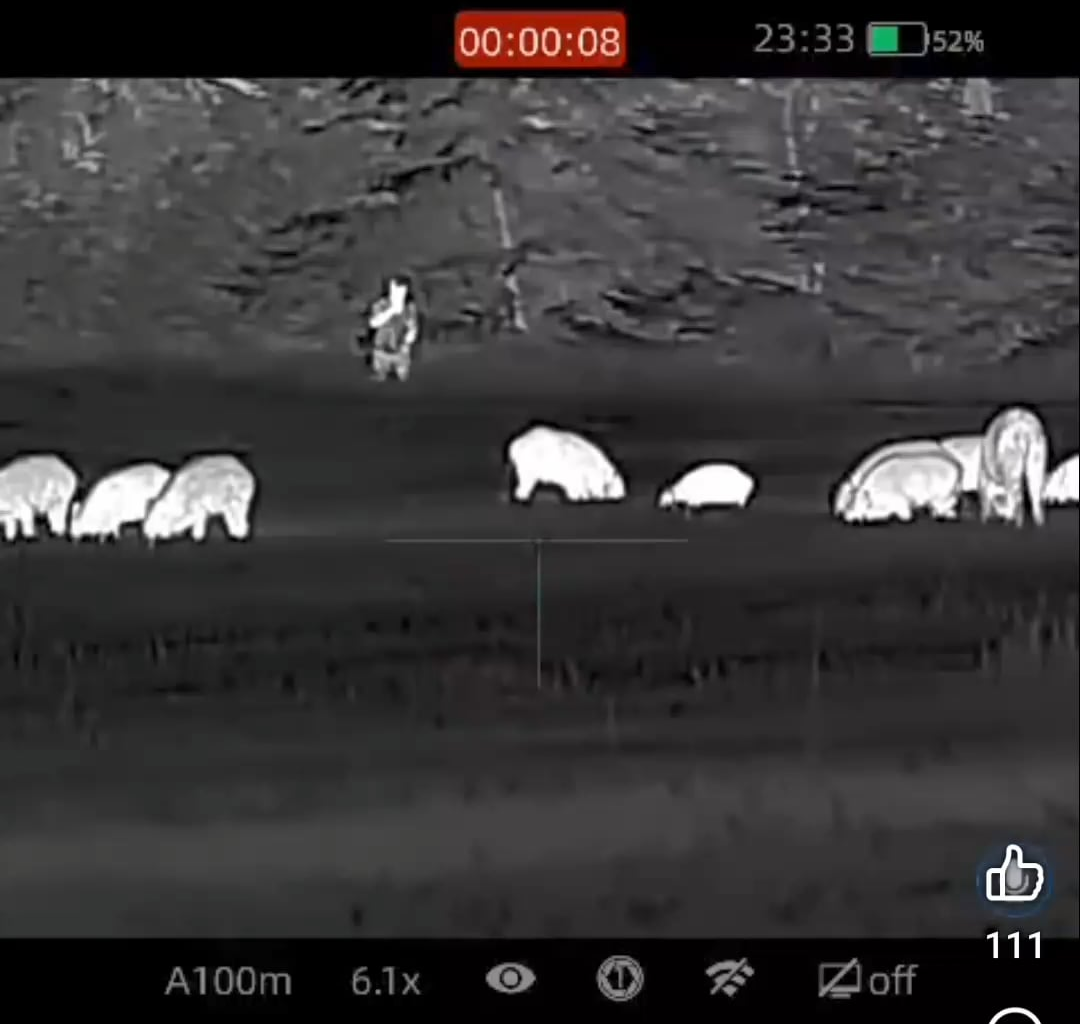 Z facebooku, týpek vybíral prase na odstřel a najednou turista 🤣