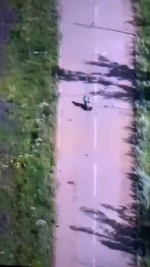 Granny was walking home and got shot by russians, then they finished her off with their FPV drone - Kupyansk Direction