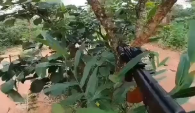 Wagner solider ambushes 3 militants from the Central African Republic. 8/03/2025