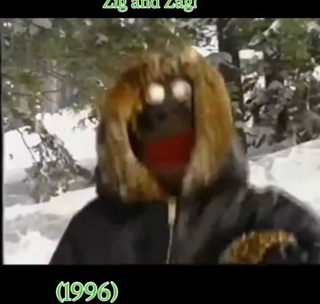 The time that Deftones appeared on an episode of Zig and Zag