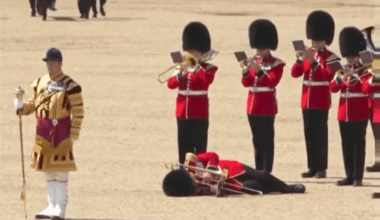Royal guard faints during Charles' birthday ceremony in 2023 - I like how he starts trying to play again and his friends are like, no...