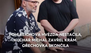 Stačilo! bot pod příspěvkem Ano šéfe