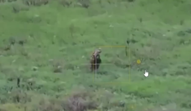 Remotely detonated FPV kills Russian soldier, Siversk front