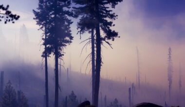 When do extreme weather events change views on climate action?