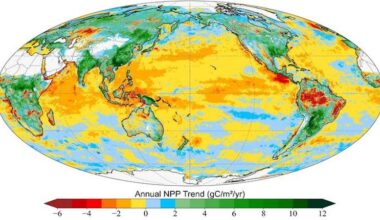 Study Identifies Global Upswing In Photosynthesis Driven By Land, Offset By Oceans – Eurasia Review