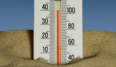 Record-shattering heat grips Norway, Sweden and Finland as Arctic temperatures top 30C