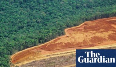 Deforestation has killed half a million people in past 20 years, study finds | Deforestation