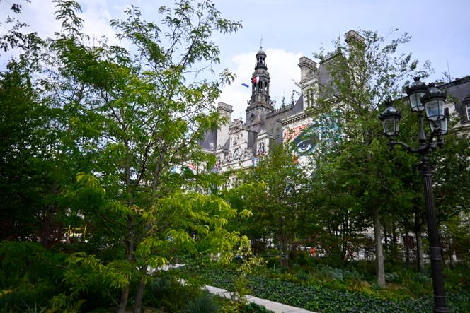 The urban forest at Place de l'Hôtel-de-Ville in Paris, on July 18, 2025.